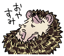 Expressive Hedgehog stickers. sticker #6123138