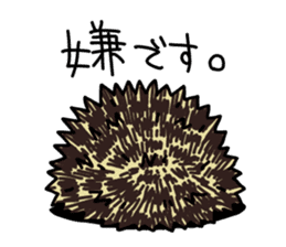 Expressive Hedgehog stickers. sticker #6123140