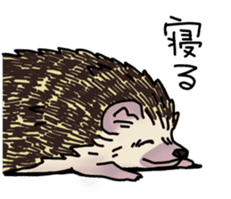 Expressive Hedgehog stickers. sticker #6123141