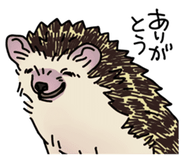 Expressive Hedgehog stickers. sticker #6123143