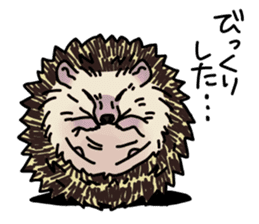 Expressive Hedgehog stickers. sticker #6123144