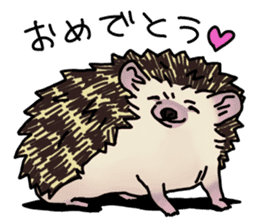 Expressive Hedgehog stickers. sticker #6123145