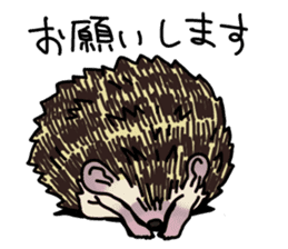 Expressive Hedgehog stickers. sticker #6123146