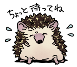 Expressive Hedgehog stickers. sticker #6123147