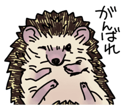 Expressive Hedgehog stickers. sticker #6123148