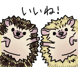 Expressive Hedgehog stickers. sticker #6123149