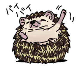 Expressive Hedgehog stickers. sticker #6123150