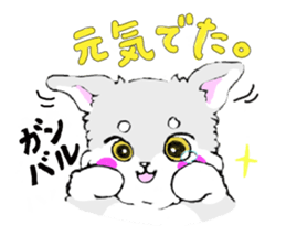 Miniature_Schnauzer_#2 sticker #6125144