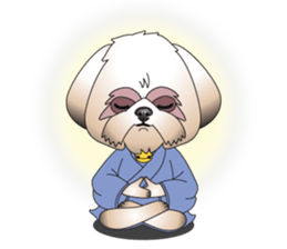 Master Rocky sticker #6129132