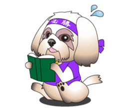 Master Rocky sticker #6129136