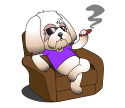 Master Rocky sticker #6129139