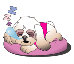 Master Rocky sticker #6129140