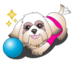 Master Rocky sticker #6129142