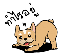 Somboon Happy French Bulldog sticker #6130678