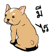 Somboon Happy French Bulldog sticker #6130681