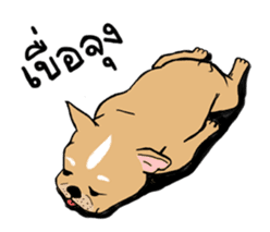 Somboon Happy French Bulldog sticker #6130684