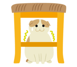 Chiffon and Marron sticker #6131019