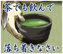 Dark Samurai's Conspiracy Theory 3 sticker #6131538