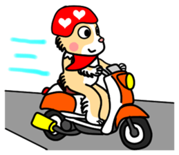 Lovely Maru sticker #6131817