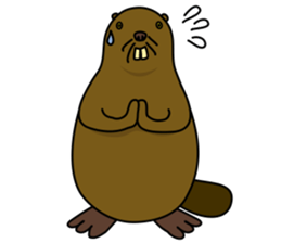beaver!!!1st sticker #6136155