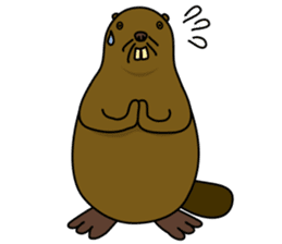 beaver!!!1st sticker #6136155