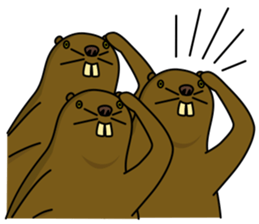 beaver!!!1st sticker #6136159