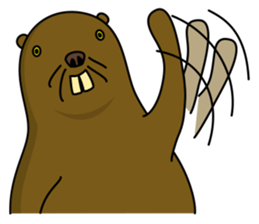 beaver!!!1st sticker #6136170