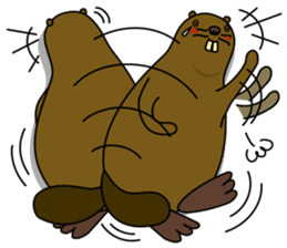 beaver!!!1st sticker #6136173