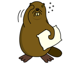 beaver!!!1st sticker #6136174