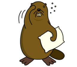 beaver!!!1st sticker #6136174