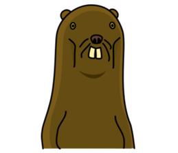 beaver!!!1st sticker #6136181