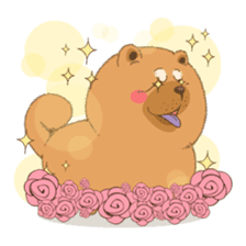 Chowchow Bruce sticker #6139692