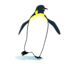 Penguin Colony sticker #6142152