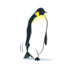Penguin Colony sticker #6142153