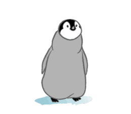 Penguin Colony sticker #6142160