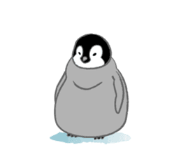 Penguin Colony sticker #6142166
