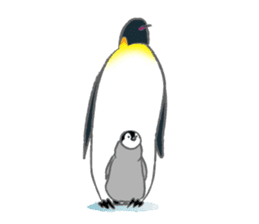 Penguin Colony sticker #6142168