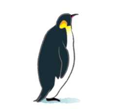 Penguin Colony sticker #6142170