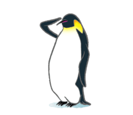 Penguin Colony sticker #6142182