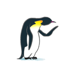 Penguin Colony sticker #6142183