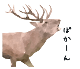 Watercolor deer sticker sticker #6144240