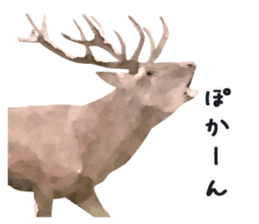 Watercolor deer sticker sticker #6144240