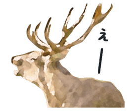 Watercolor deer sticker sticker #6144242