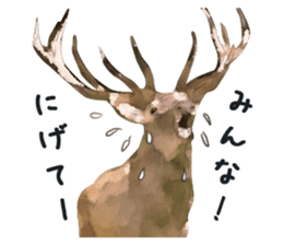 Watercolor deer sticker sticker #6144243