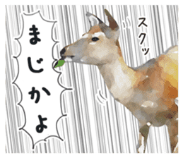Watercolor deer sticker sticker #6144244