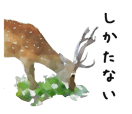 Watercolor deer sticker sticker #6144249