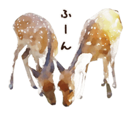 Watercolor deer sticker sticker #6144252