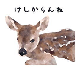 Watercolor deer sticker sticker #6144260