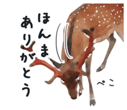 Watercolor deer sticker sticker #6144264