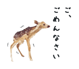 Watercolor deer sticker sticker #6144265